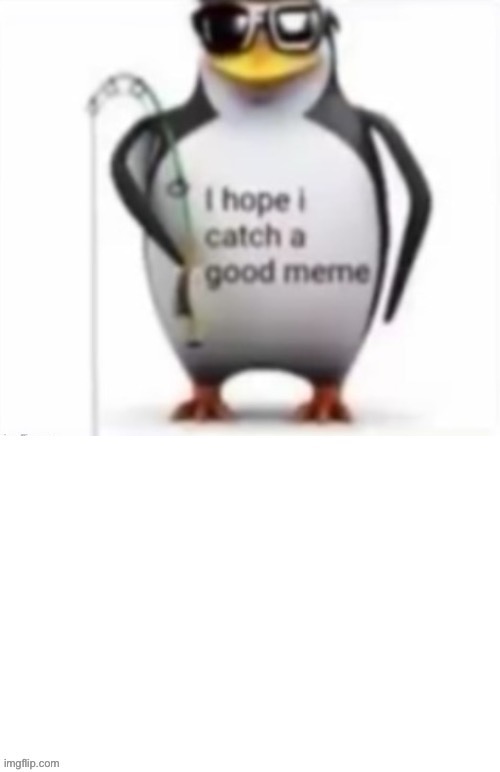 I forgot to make this a temp | image tagged in i hope i catch a good meme | made w/ Imgflip meme maker