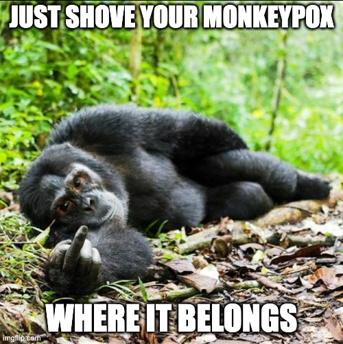 Just shove it |  JUST SHOVE YOUR MONKEYPOX; WHERE IT BELONGS | image tagged in monkey pox,money pox,virus | made w/ Imgflip meme maker