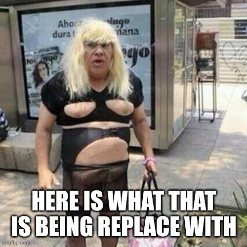 Ugly guy | HERE IS WHAT THAT IS BEING REPLACE WITH | image tagged in tranny | made w/ Imgflip meme maker
