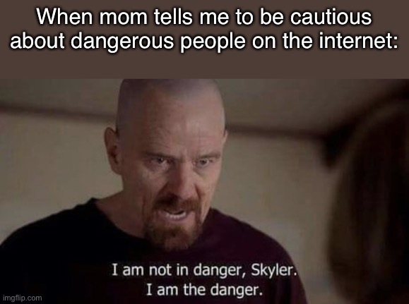 I am the danger | When mom tells me to be cautious about dangerous people on the internet: | image tagged in i am the danger | made w/ Imgflip meme maker