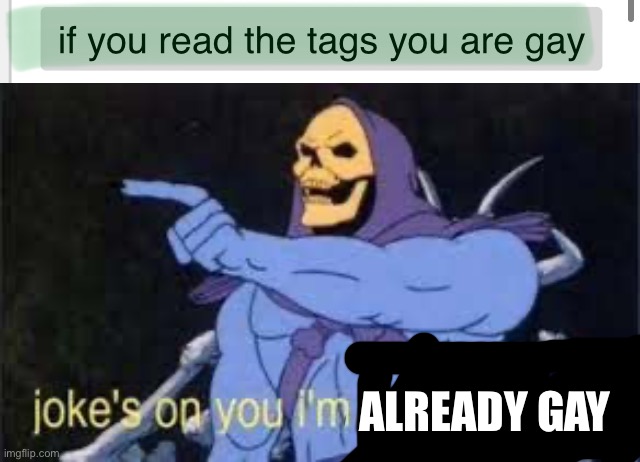 ALREADY GAY | image tagged in jokes on you im into that shit | made w/ Imgflip meme maker