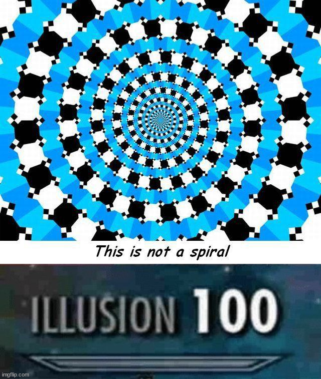 Illusion | image tagged in illusion 100 | made w/ Imgflip meme maker
