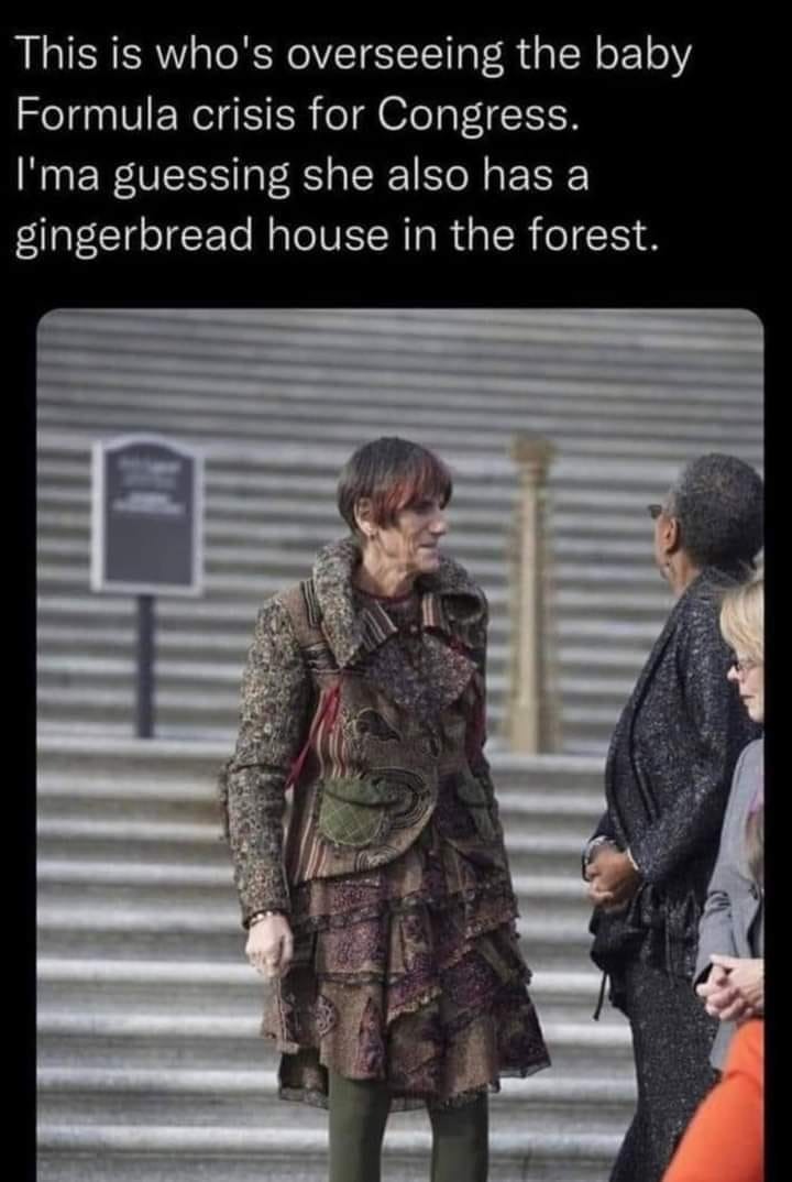 This is the witch in Congress overseeing the Baby Formula Crisis | image tagged in witch,gingerbread house,hansel and gretal witch,woke,triggered feminist,triggered liberal | made w/ Imgflip meme maker