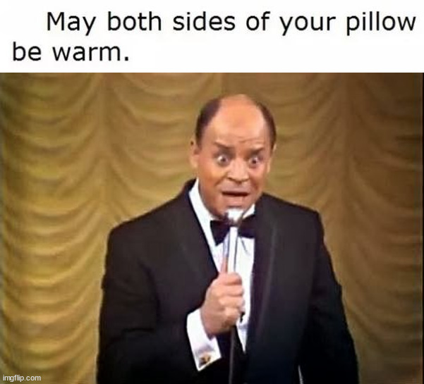 Low key insult | image tagged in don rickles insult | made w/ Imgflip meme maker