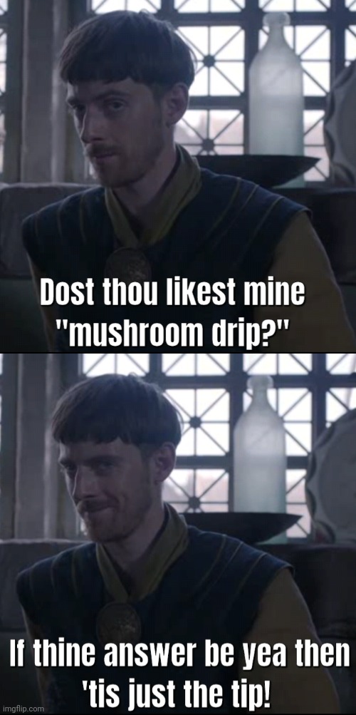 The Mushroom Drip | image tagged in medieval memes,royals,history,history memes,drip,hairstyle | made w/ Imgflip meme maker
