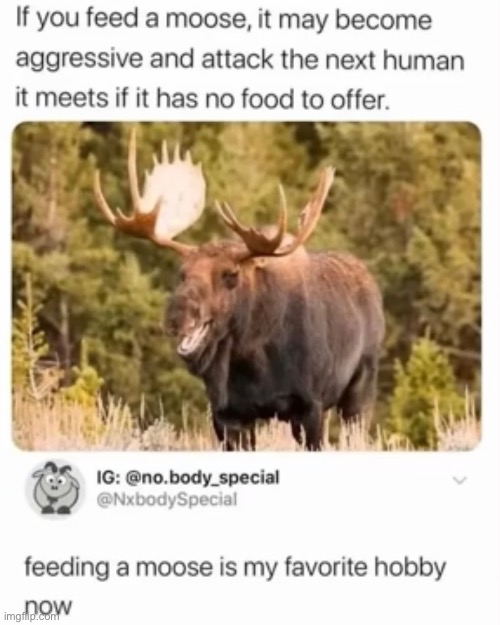 Same | made w/ Imgflip meme maker