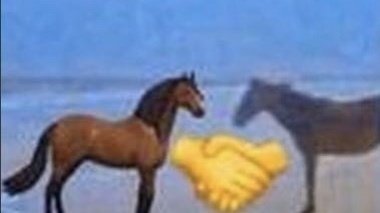 reactions on X: horse at beach and emoji horse shaking hands my
