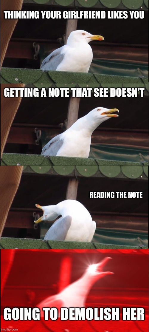Inhaling Seagull |  THINKING YOUR GIRLFRIEND LIKES YOU; GETTING A NOTE THAT SEE DOESN’T; READING THE NOTE; GOING TO DEMOLISH HER | image tagged in memes,inhaling seagull | made w/ Imgflip meme maker