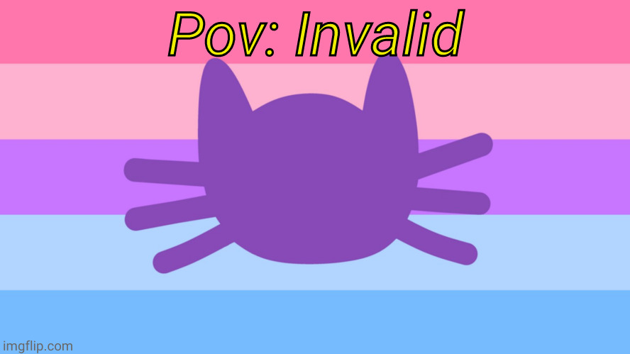 Catgender flag | Pov: Invalid | image tagged in catgender flag | made w/ Imgflip meme maker