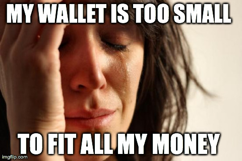 First World Problems Meme | MY WALLET IS TOO SMALL  TO FIT ALL MY MONEY | image tagged in memes,first world problems,AdviceAnimals | made w/ Imgflip meme maker