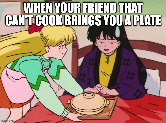 Minako & Rei | WHEN YOUR FRIEND THAT CAN'T COOK BRINGS YOU A PLATE | image tagged in minako rei,anime meme | made w/ Imgflip meme maker