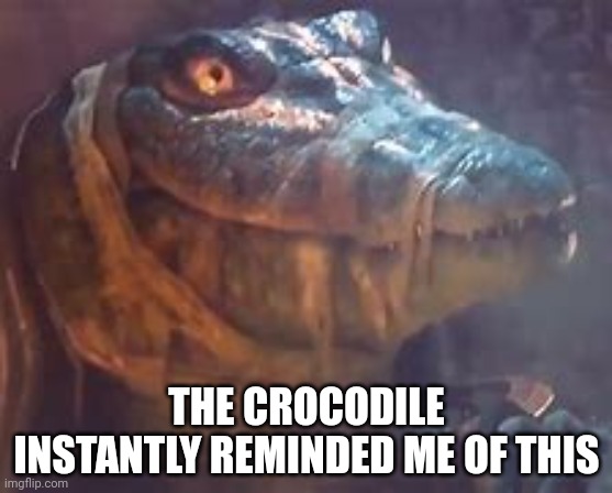 THE CROCODILE INSTANTLY REMINDED ME OF THIS | made w/ Imgflip meme maker