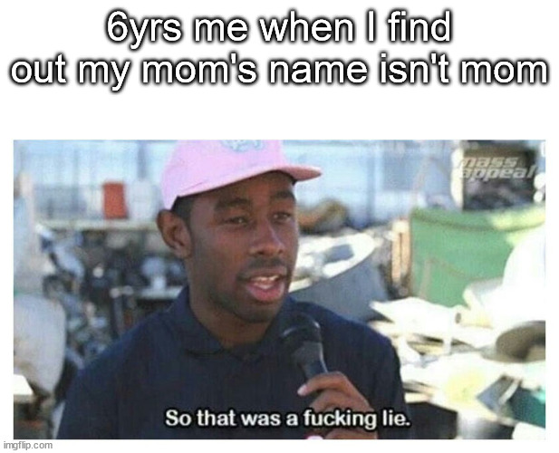 My whole life has been a lie.. |  6yrs me when I find out my mom's name isn't mom | image tagged in so that was a f---ing lie,memes,funny,low effort,barney will eat all of your delectable biscuits,not a gif | made w/ Imgflip meme maker