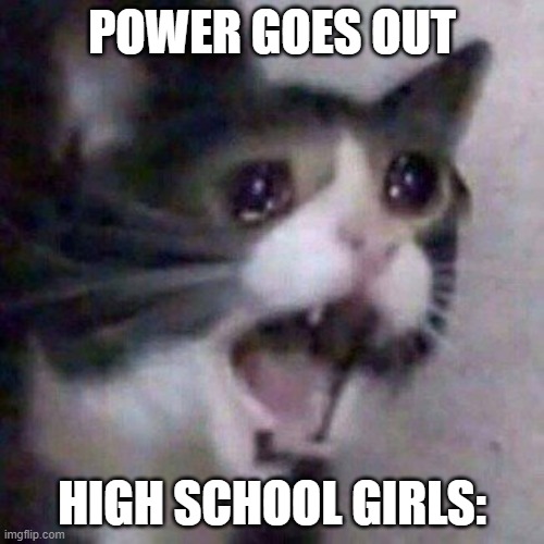 AAAAAAAAAAAAAAAAAAAAAAAAAAAAAAAAAAAAAAAAAAAAAAAA | POWER GOES OUT; HIGH SCHOOL GIRLS: | image tagged in screaming cat meme,memes,funny,funny memes,school | made w/ Imgflip meme maker