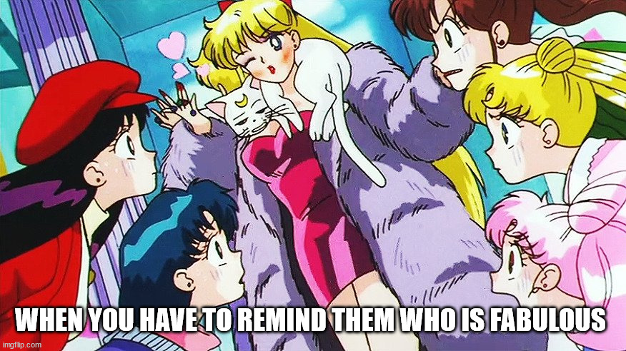 Fabulous | WHEN YOU HAVE TO REMIND THEM WHO IS FABULOUS | image tagged in sailor moon | made w/ Imgflip meme maker