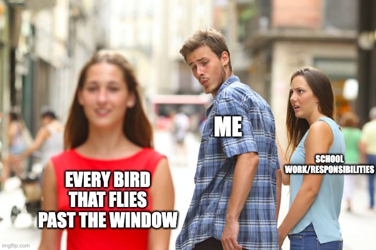 ADHD... | ME; SCHOOL WORK/RESPONSIBILITIES; EVERY BIRD THAT FLIES PAST THE WINDOW | image tagged in memes,distracted boyfriend,adhd | made w/ Imgflip meme maker