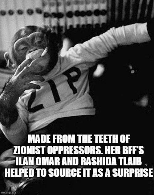 Zip the Smoking Chimp | MADE FROM THE TEETH OF ZIONIST OPPRESSORS. HER BFF'S ILAN OMAR AND RASHIDA TLAIB HELPED TO SOURCE IT AS A SURPRISE | image tagged in zip the smoking chimp | made w/ Imgflip meme maker