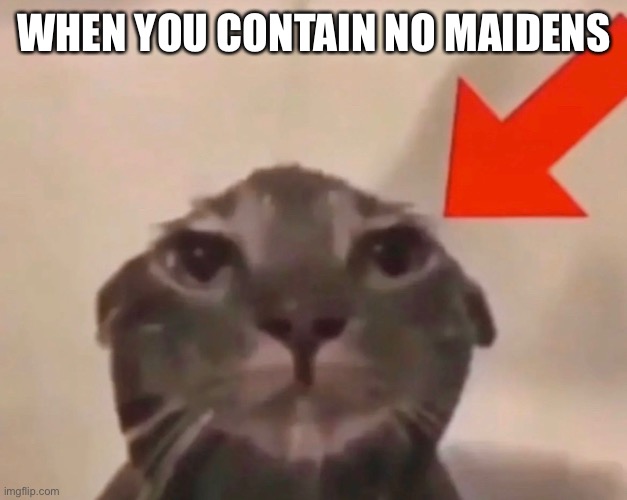 Maidenless | WHEN YOU CONTAIN NO MAIDENS | image tagged in angry wet cat | made w/ Imgflip meme maker