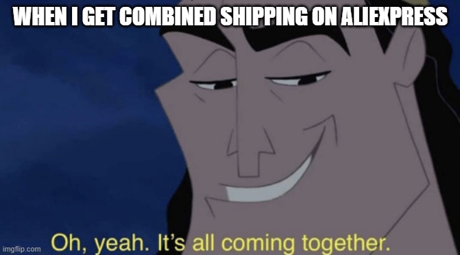 Two things in a single package | WHEN I GET COMBINED SHIPPING ON ALIEXPRESS | image tagged in it's all coming together | made w/ Imgflip meme maker