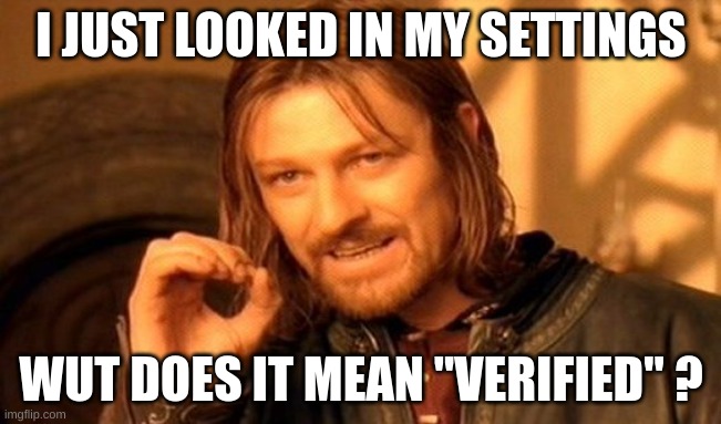One Does Not Simply Meme | I JUST LOOKED IN MY SETTINGS; WUT DOES IT MEAN "VERIFIED" ? | image tagged in memes,one does not simply | made w/ Imgflip meme maker