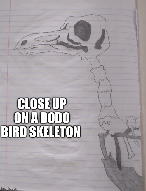 Newest drawing |  CLOSE UP ON A DODO BIRD SKELETON | image tagged in art | made w/ Imgflip meme maker