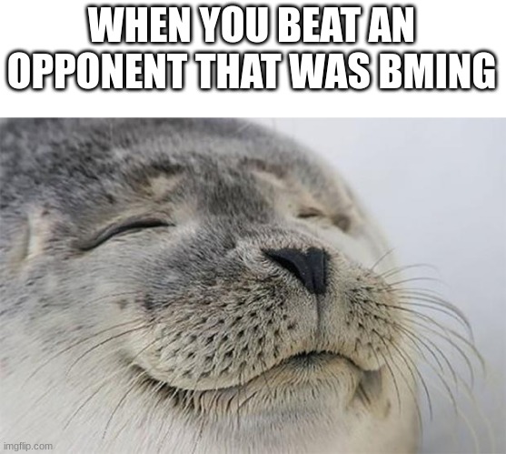 then u bm them | WHEN YOU BEAT AN OPPONENT THAT WAS BMING | image tagged in memes,satisfied seal | made w/ Imgflip meme maker
