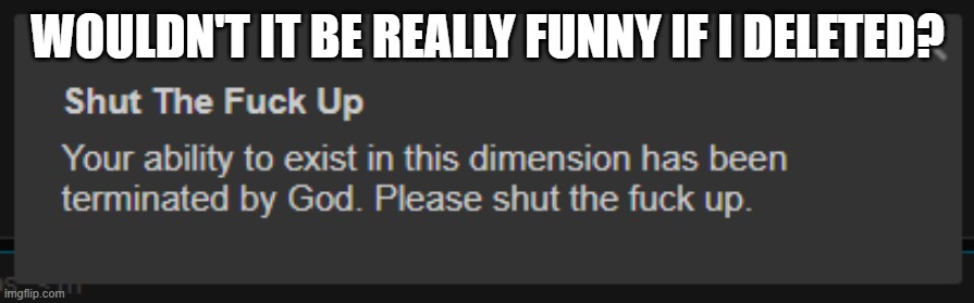 quite ironic | WOULDN'T IT BE REALLY FUNNY IF I DELETED? | image tagged in shut up | made w/ Imgflip meme maker