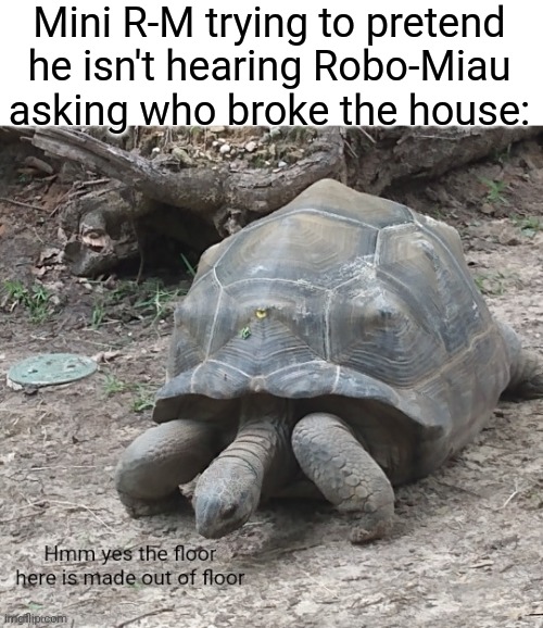 f l o o r | Mini R-M trying to pretend he isn't hearing Robo-Miau asking who broke the house: | image tagged in hmm yes the floor here is made out of floor | made w/ Imgflip meme maker