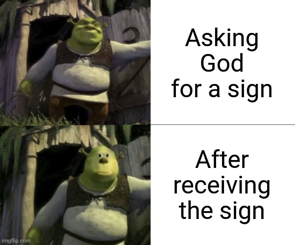 Shocked Shrek Face Swap | Asking God for a sign After receiving the sign | image tagged in shocked shrek face swap | made w/ Imgflip meme maker