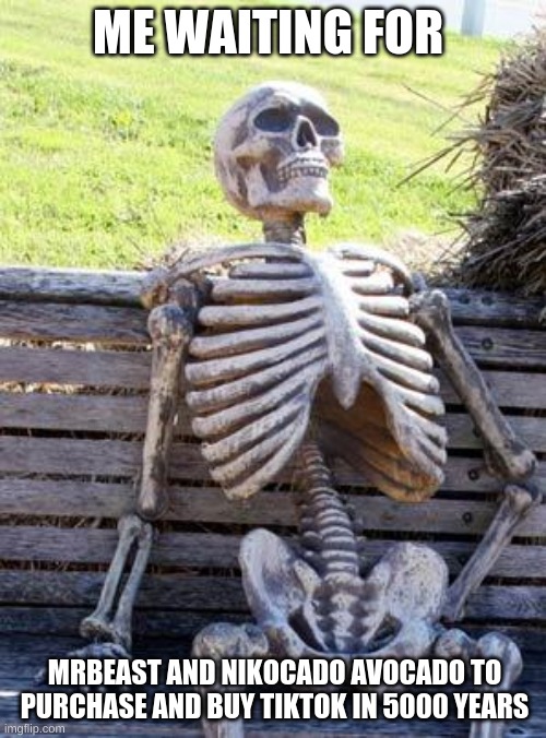 TikTok in 2030 be like | ME WAITING FOR; MRBEAST AND NIKOCADO AVOCADO TO PURCHASE AND BUY TIKTOK IN 5000 YEARS | image tagged in memes,waiting skeleton,tiktok sucks,mrbeast,nikocado avocado,funny memes | made w/ Imgflip meme maker