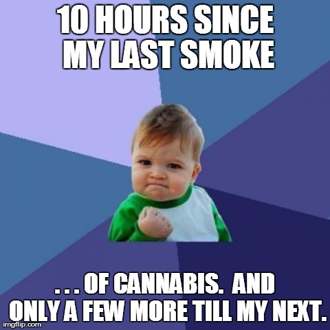 Success Kid | 10 HOURS SINCE MY LAST SMOKE . . . OF CANNABIS.  AND ONLY A FEW MORE TILL MY NEXT. | image tagged in memes,success kid,AdviceAnimals | made w/ Imgflip meme maker