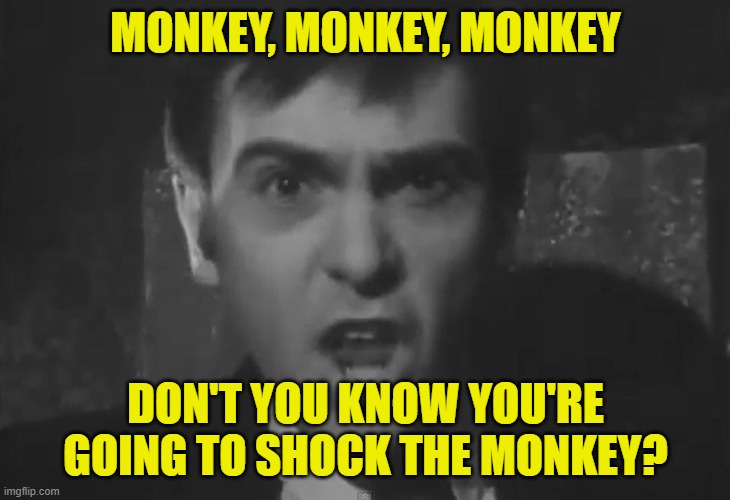 Shock the Monkey - Peter Gabriel | MONKEY, MONKEY, MONKEY DON'T YOU KNOW YOU'RE GOING TO SHOCK THE MONKEY? | image tagged in shock the monkey - peter gabriel | made w/ Imgflip meme maker