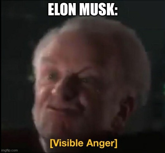 visible anger | ELON MUSK: | image tagged in visible anger | made w/ Imgflip meme maker