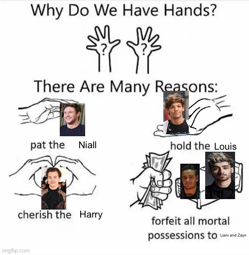 Why do we have hands? (all blank) | Niall; Louis; Harry; Liam and Zayn | image tagged in why do we have hands all blank,one direction,1d | made w/ Imgflip meme maker