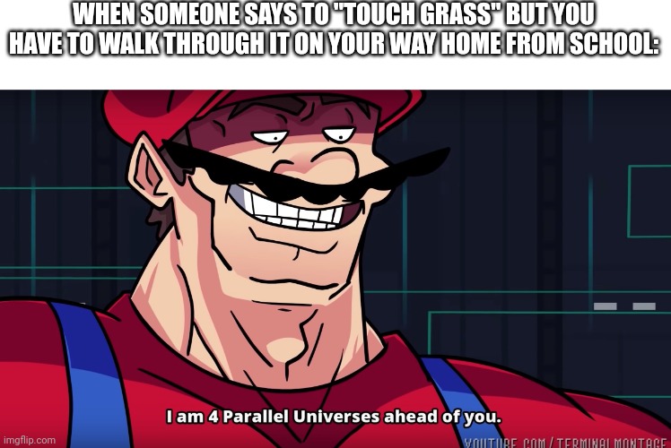 Go ahead, fight me. | WHEN SOMEONE SAYS TO "TOUCH GRASS" BUT YOU HAVE TO WALK THROUGH IT ON YOUR WAY HOME FROM SCHOOL: | image tagged in mario i am four parallel universes ahead of you | made w/ Imgflip meme maker