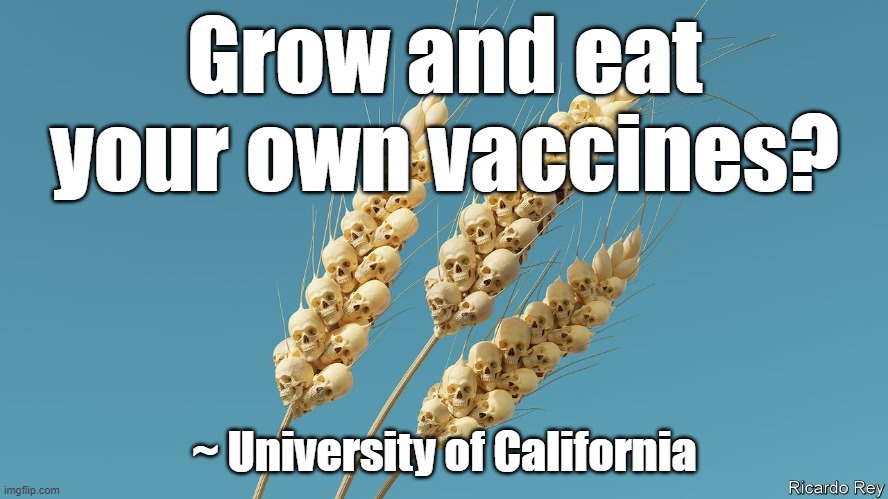 Grow and eat your own vaccines? ~ University of California | made w/ Imgflip meme maker