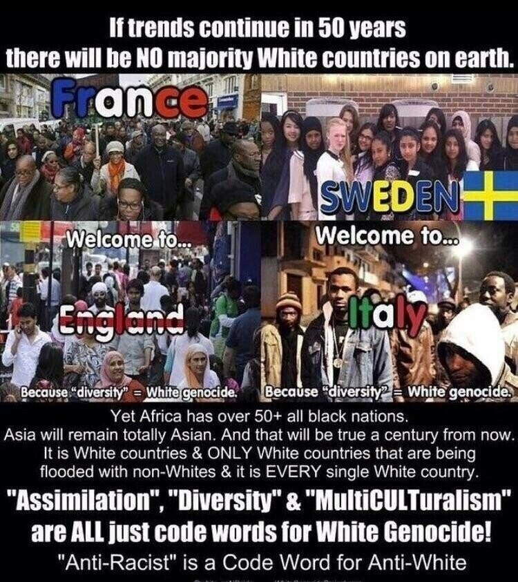 Multiculturalism is White Genocide Blank Meme Template