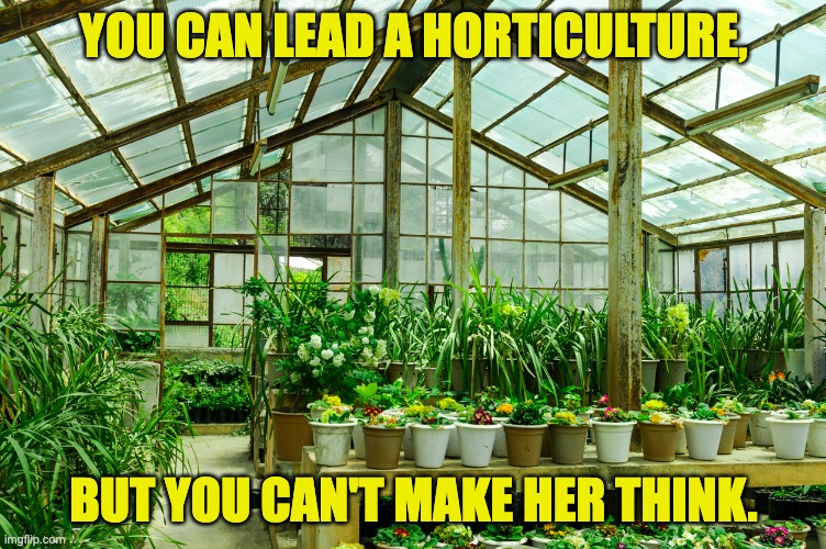 horticulture | YOU CAN LEAD A HORTICULTURE, BUT YOU CAN'T MAKE HER THINK. | image tagged in bad pun | made w/ Imgflip meme maker
