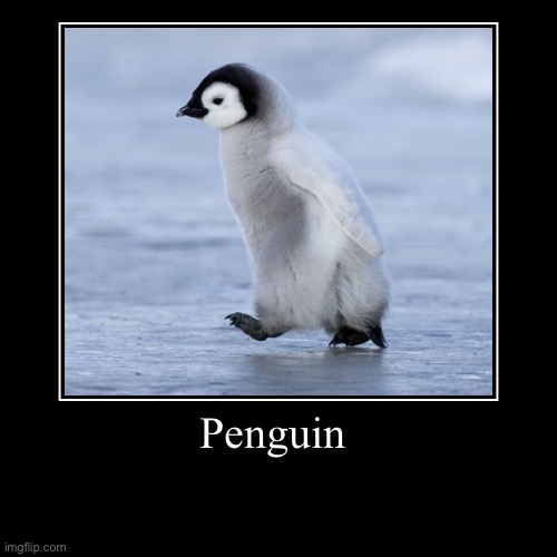 Penguin | image tagged in funny,demotivationals | made w/ Imgflip demotivational maker