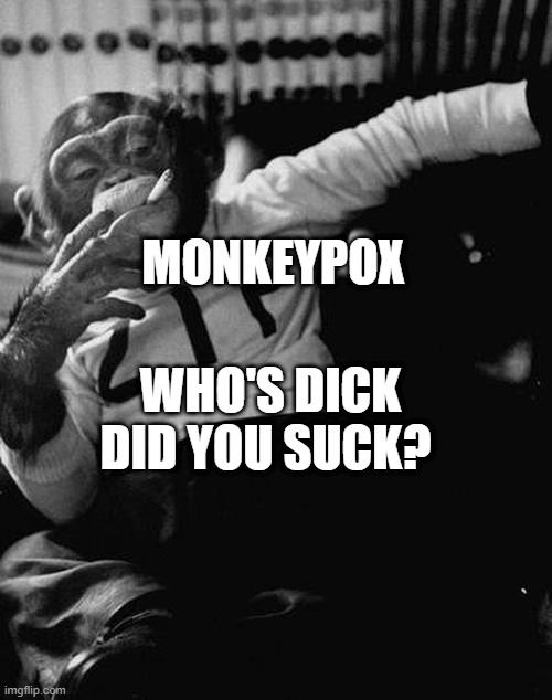 smoking monkey  | MONKEYPOX; WHO'S DICK DID YOU SUCK? | image tagged in smoking monkey | made w/ Imgflip meme maker