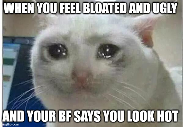 crying cat | WHEN YOU FEEL BLOATED AND UGLY; AND YOUR BF SAYS YOU LOOK HOT | image tagged in crying cat | made w/ Imgflip meme maker