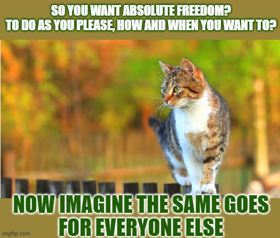 This #lolcat wonders if you really want everyone be as free as you want to be | SO YOU WANT ABSOLUTE FREEDOM?
TO DO AS YOU PLEASE, HOW AND WHEN YOU WANT TO? NOW IMAGINE THE SAME GOES
FOR EVERYONE ELSE | image tagged in freedom,lolcat,think about it,free | made w/ Imgflip meme maker