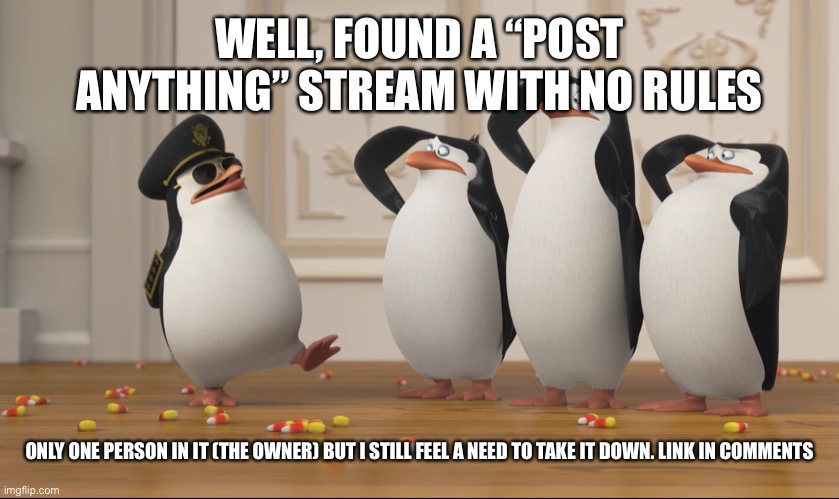 All good other than that | WELL, FOUND A “POST ANYTHING” STREAM WITH NO RULES; ONLY ONE PERSON IN IT (THE OWNER) BUT I STILL FEEL A NEED TO TAKE IT DOWN. LINK IN COMMENTS | image tagged in saluting skipper | made w/ Imgflip meme maker