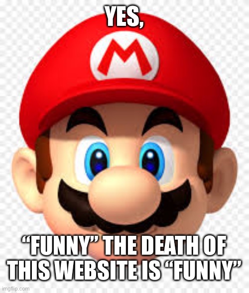Mario's Face (NSMB-WII) | YES, “FUNNY” THE DEATH OF THIS WEBSITE IS “FUNNY” | image tagged in mario's face nsmb-wii | made w/ Imgflip meme maker