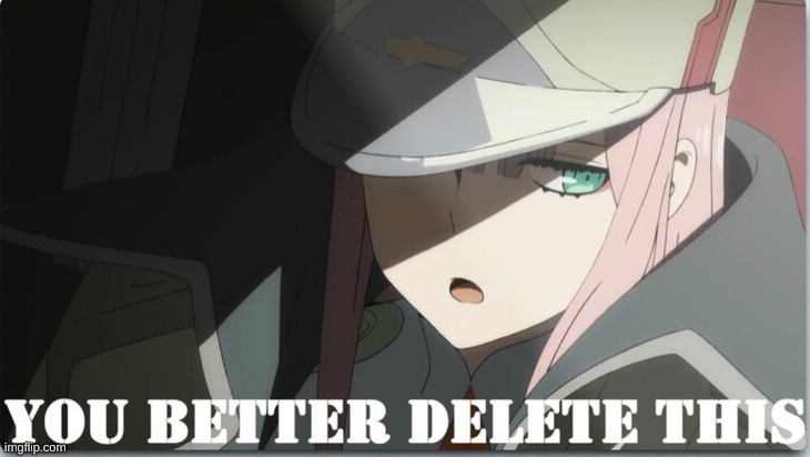 you better delete this but it's zero two | image tagged in you better delete this but it's zero two | made w/ Imgflip meme maker