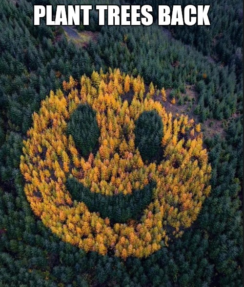 tree smile | PLANT TREES BACK | image tagged in tree smile | made w/ Imgflip meme maker