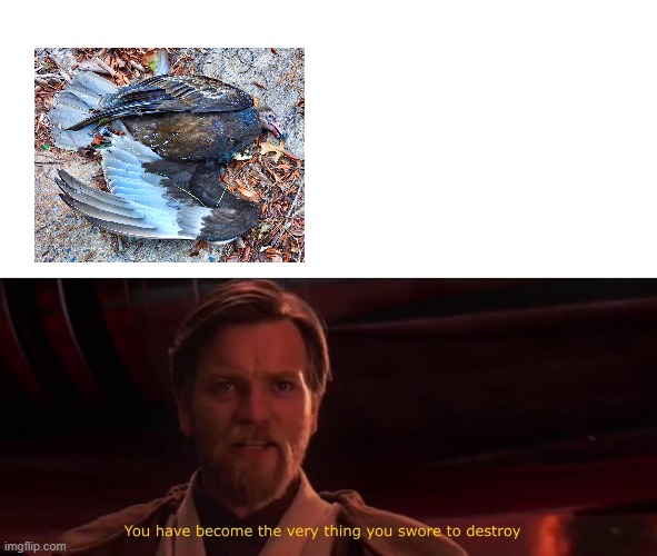 you have become the very thing you swore to destroy | image tagged in you have become the very thing you swore to destroy | made w/ Imgflip meme maker
