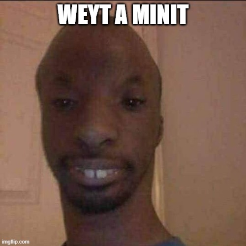 ayo what u doing | WEYT A MINIT | image tagged in ayo what u doing | made w/ Imgflip meme maker