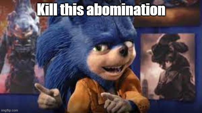 ugly sonic goes s l o w b a b y | Kill this abomination | image tagged in ugly sonic | made w/ Imgflip meme maker