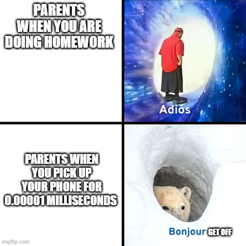 A clever title | PARENTS WHEN YOU ARE DOING HOMEWORK; PARENTS WHEN YOU PICK UP YOUR PHONE FOR 0.00001 MILLISECONDS; GET OFF | image tagged in adios bonjour,parents | made w/ Imgflip meme maker